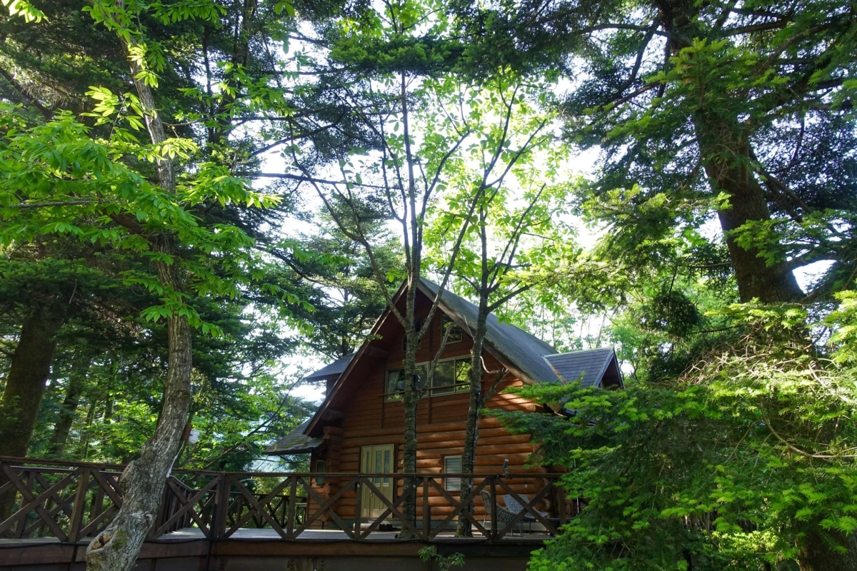 ログハウスと森