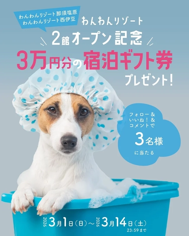 Instagramキャンペーン告知画像