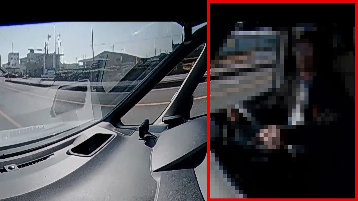 ビューワソフトでのモザイク処理の例