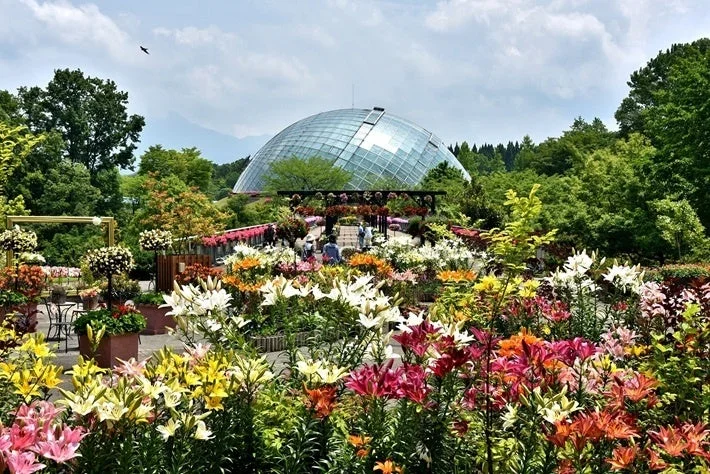 百合の花畑とドーム型温室