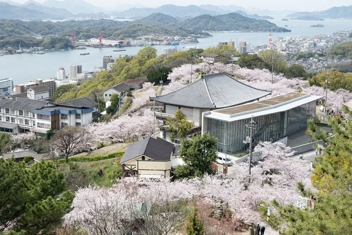 桜と寺、街並み、海、山
