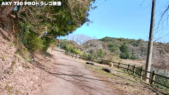 AKY-730Pro手ブレ補正