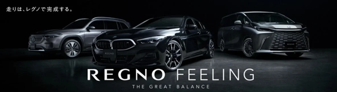 REGNO FEELING THE GREAT BALANCE