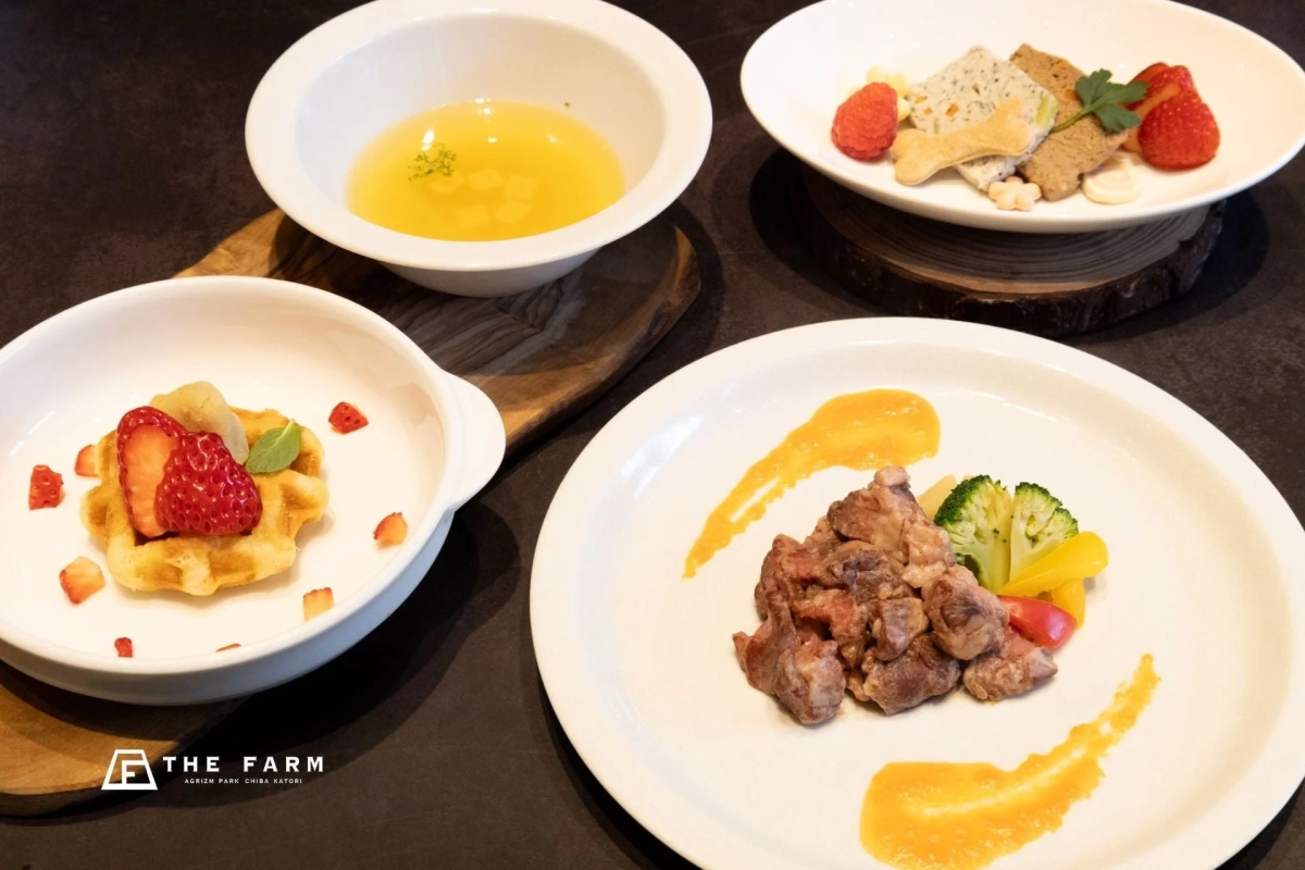 コース料理の全体像