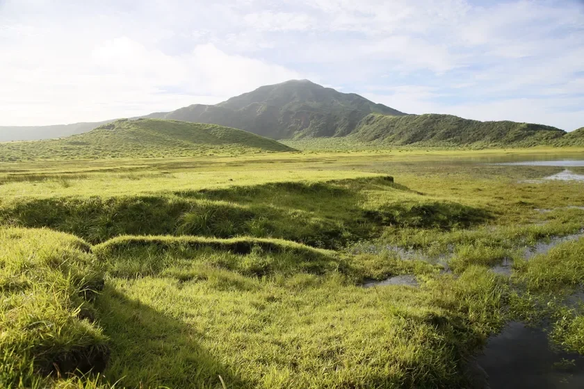 広大な草原と山々