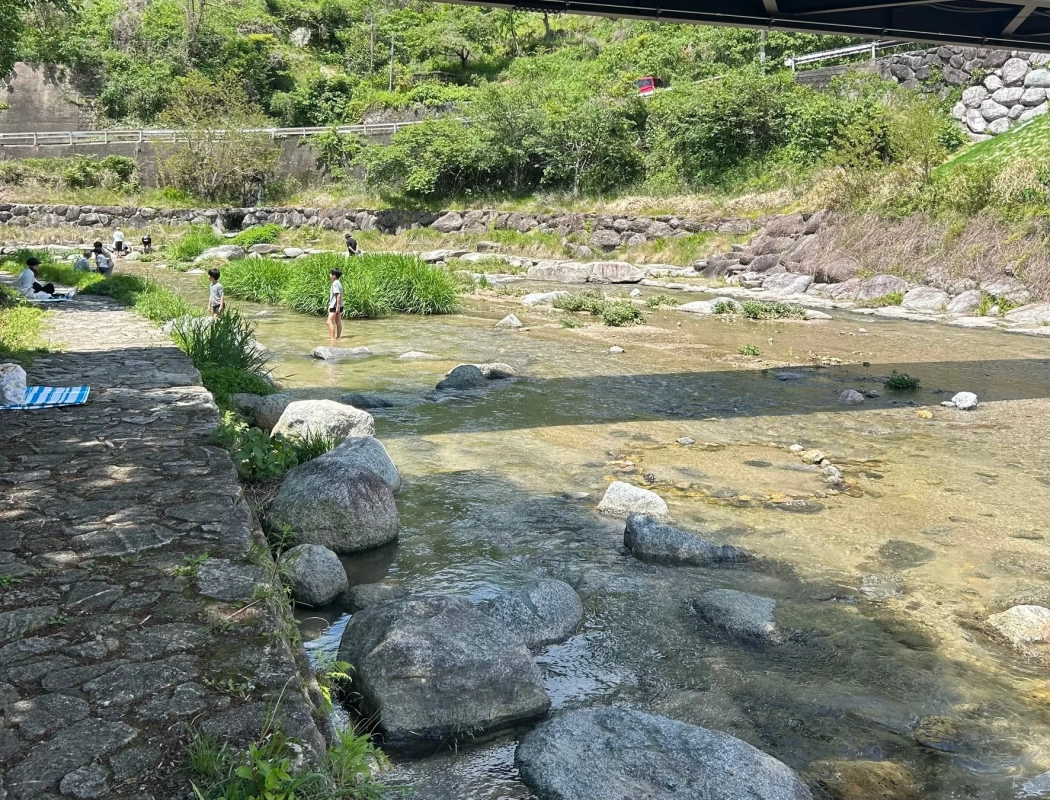 緑豊かな自然の中を流れる浅い川で水遊びを楽しむ子供たち