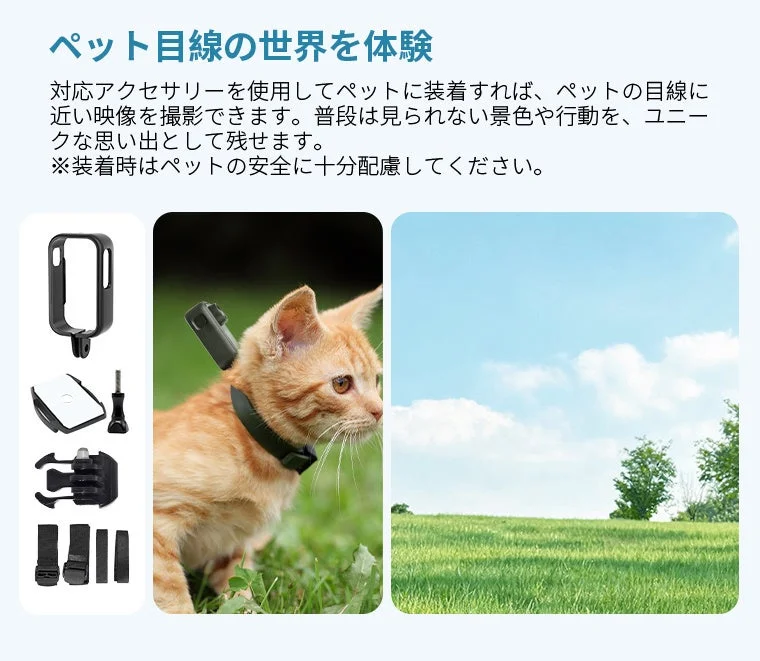 ペット目線の世界を体験