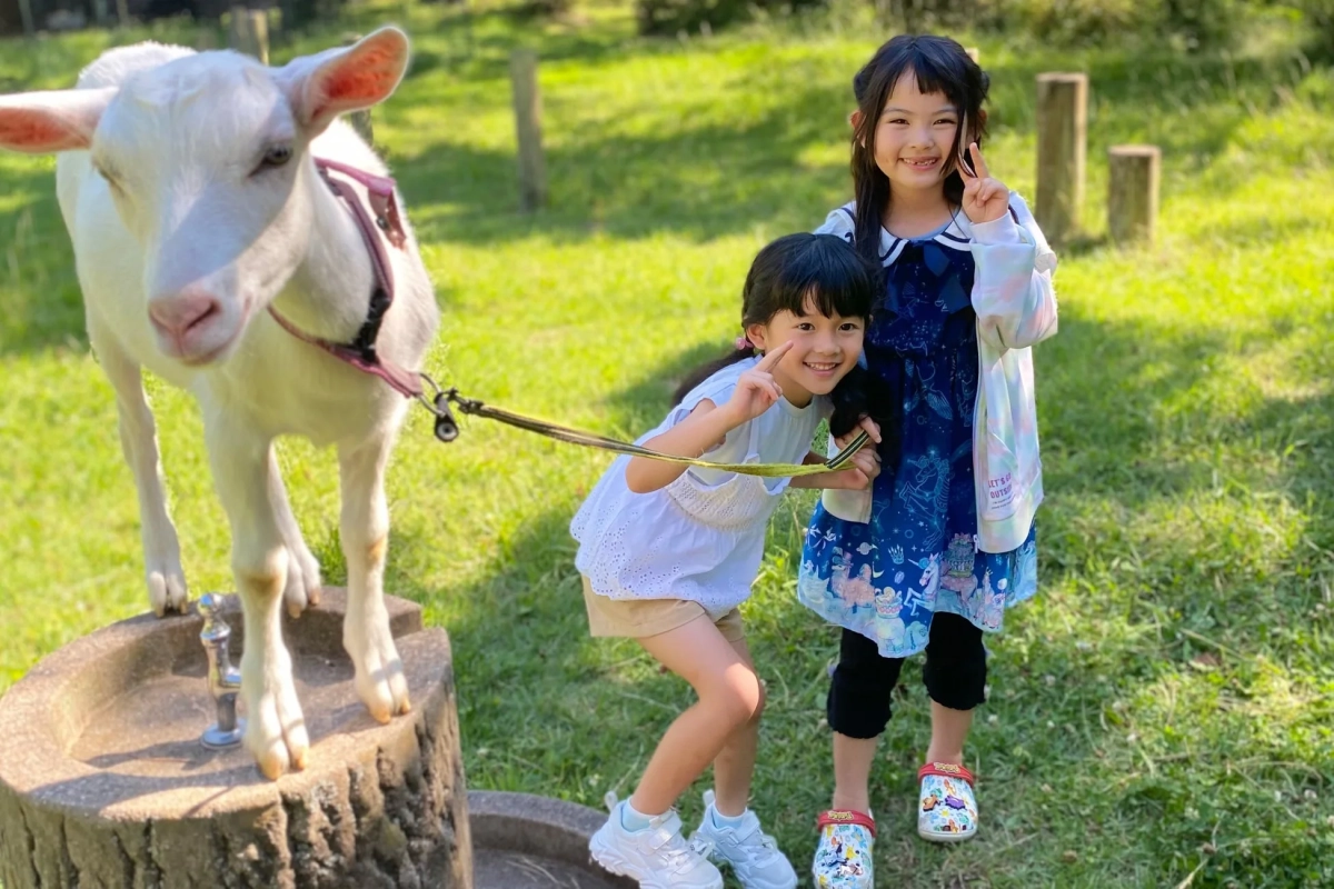 ヤギと触れ合う子供たち